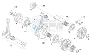 RS 125 Tuono drawing Crankshaft - Balance shaft