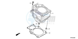 TRX420FPMB drawing CYLINDER