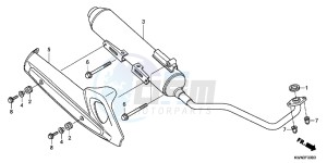 WW125EX2C drawing EXHAUST MUFFLER