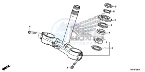 CBR1000S2H 2ED - (2ED) drawing STEERING STEM