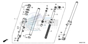 NC750SDG NC750X Europe Direct - (ED) drawing FRONT FORK