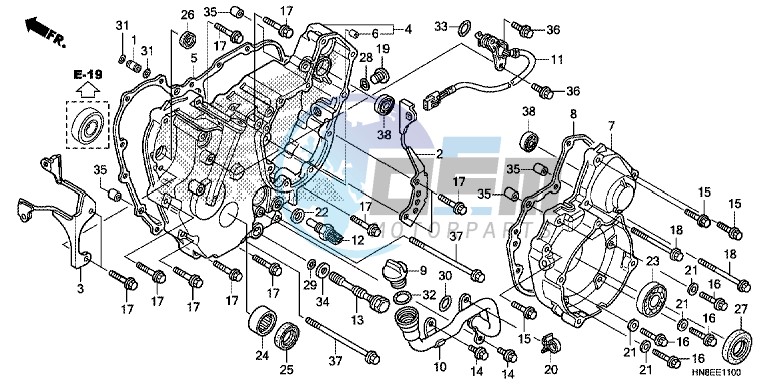 REAR CRANKCASE COVER