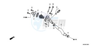 NC700XD NC700X 2ED drawing THERMOSTAT