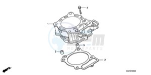 CRF150RB9 Europe Direct - (ED / T19) drawing CYLINDER