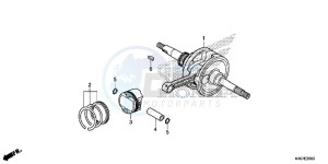 NSS125DF Forza 125 - NSS125D Europe Direct - (ED) drawing CRANKSHAFT/ PI STON