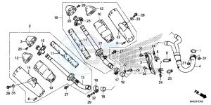 CRF450R Europe Direct - (ED) drawing EXHAUST MUFFLER