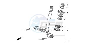 CB600FB drawing STEERING STEM