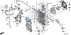 CRF250LD CRF250L UK - (E) drawing RADIATOR