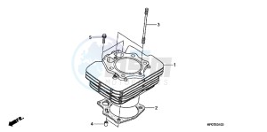 TRX500FPMB drawing CYLINDER