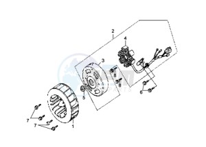 SHARK 50 E2 drawing FLYWHEEL WITH MAGNETO / FAN