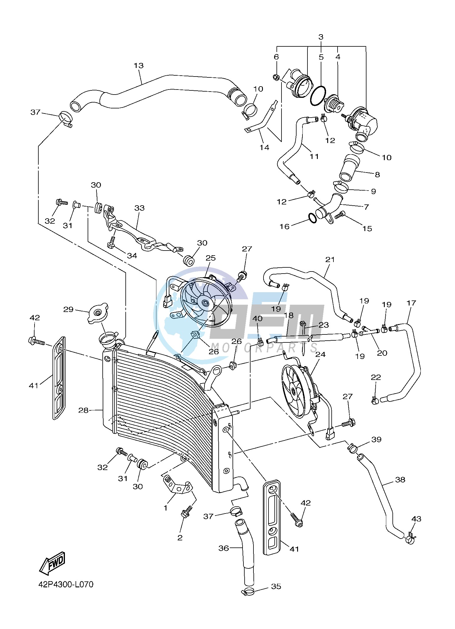 RADIATOR & HOSE