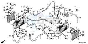 GL1800D GoldWing - GL1800-D UK - (E) drawing RADIATOR (GL1800C/ D/ E/ F/ G)