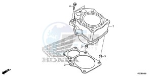 TRX420FE1G TRX420 Europe Direct - (ED) drawing CYLINDER