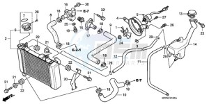 CBR125RW9 UK - (E) drawing RADIATOR (CBR125RW7/RW9/RWA)