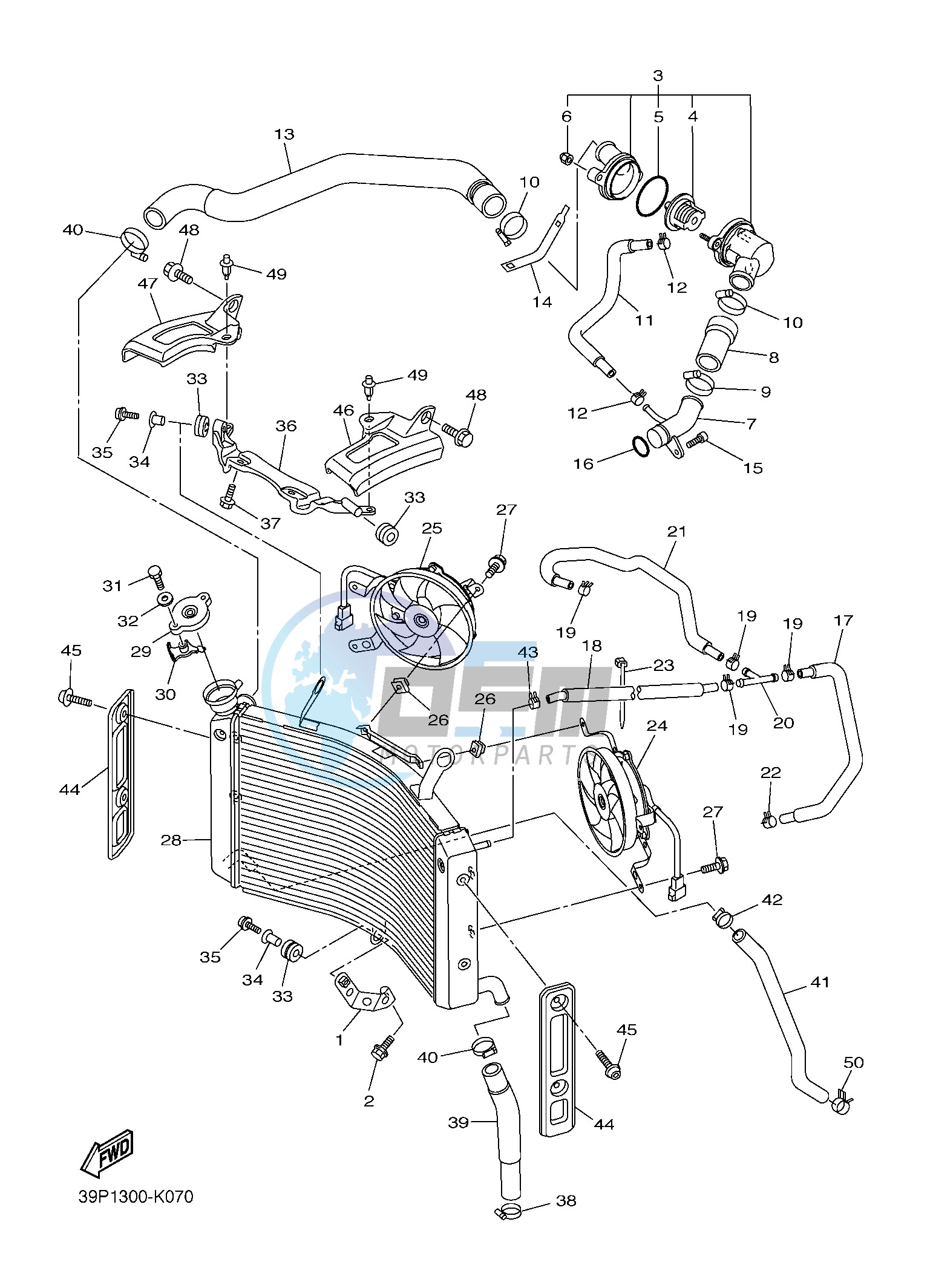 RADIATOR & HOSE