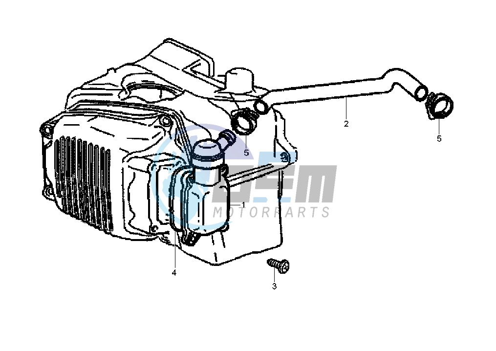 Oil drain valve