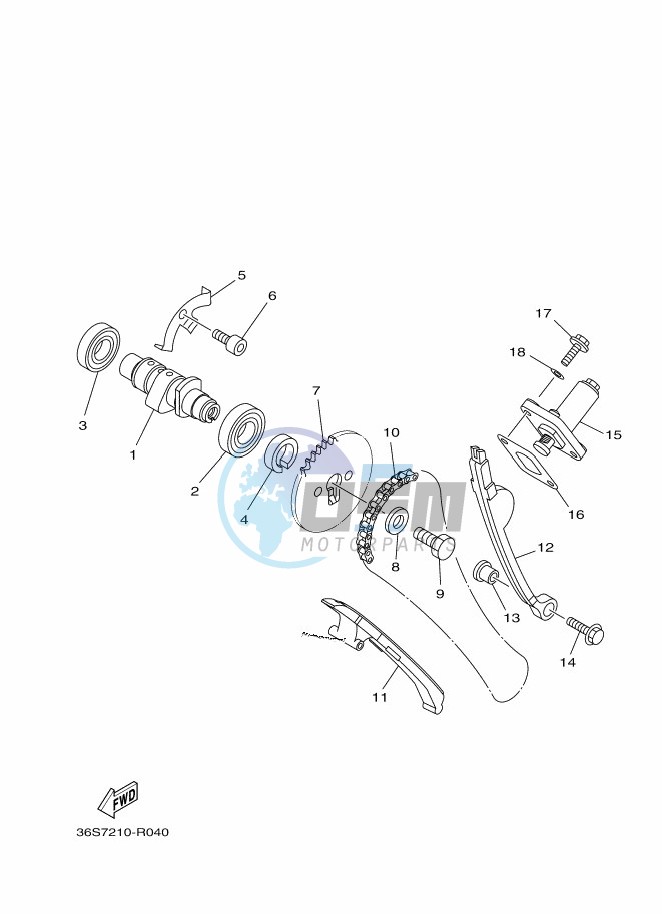 CAMSHAFT & CHAIN