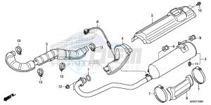 TRX420TE1F TRX420 Europe Direct - (ED) drawing EXHAUST MUFFLER