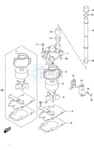 DF 250 drawing Water Pump SS Model