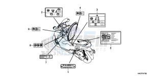 NSS125DF Forza 125 - NSS125D Europe Direct - (ED) drawing CAUTION LABEL