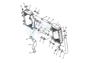 WR F 250 drawing RADIATOR-HOSE