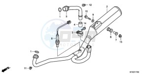 VTR2509 Australia - (U / MK) drawing EXHAUST MUFFLER