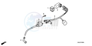 CRF50F9 Australia - (U) drawing WIRE HARNESS