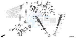 TRX500FE2E TRX500FE2 Europe Direct - (ED) drawing CAMSHAFT/ VALVE