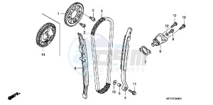 CRF450XD CRF450X Europe Direct - (ED) drawing CAM CHAIN/TENSIONER