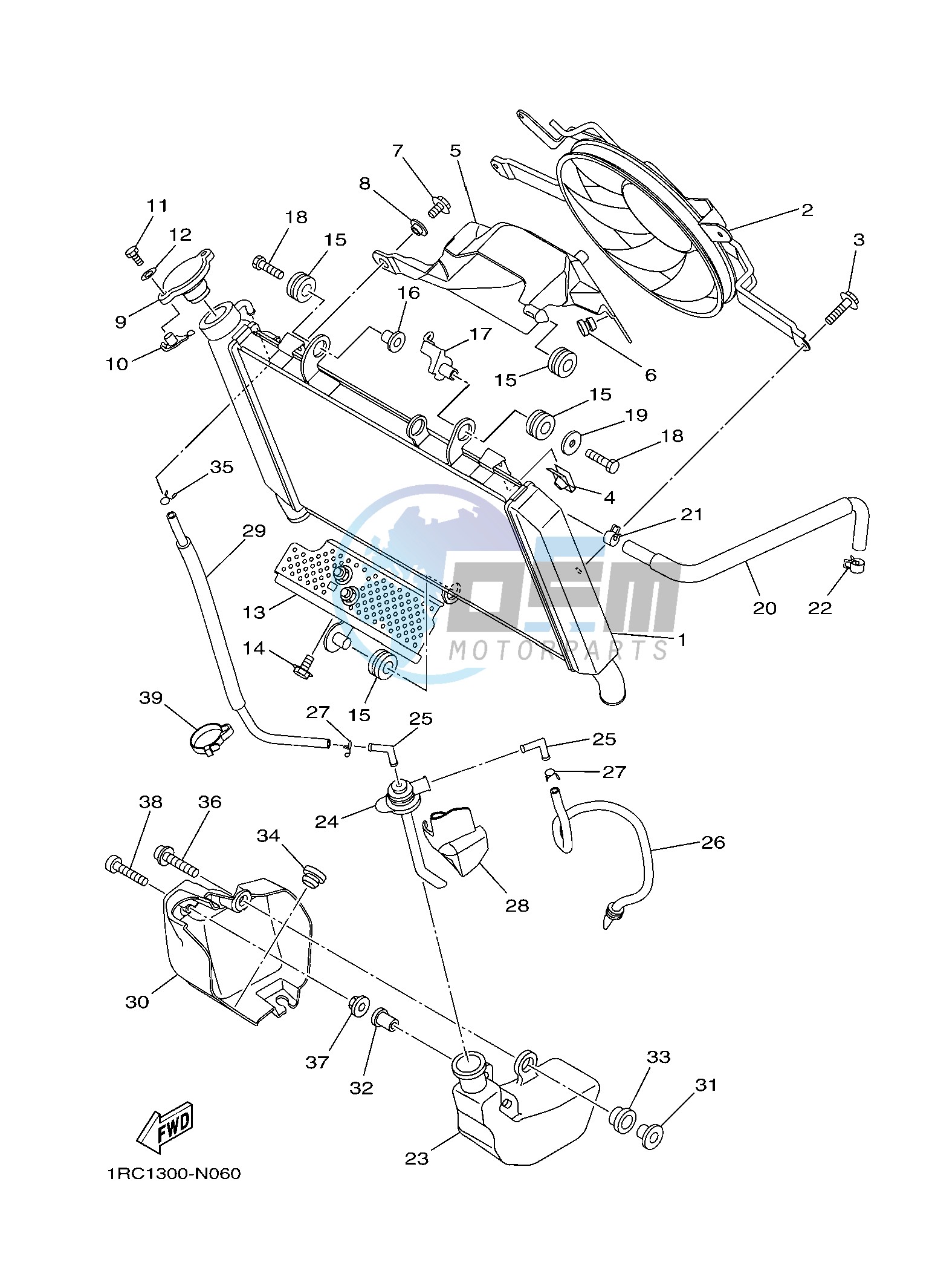 RADIATOR & HOSE