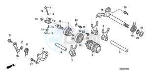 CRF150R9 Europe Direct - (ED / 2ED) drawing GEARSHIFT DRUM