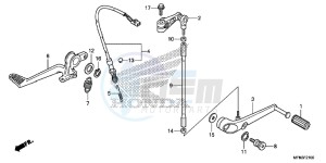 CB1000RAE CB1000R ABS E drawing PEDAL