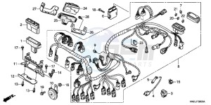 TRX500FPAC drawing WIRE HARNESS