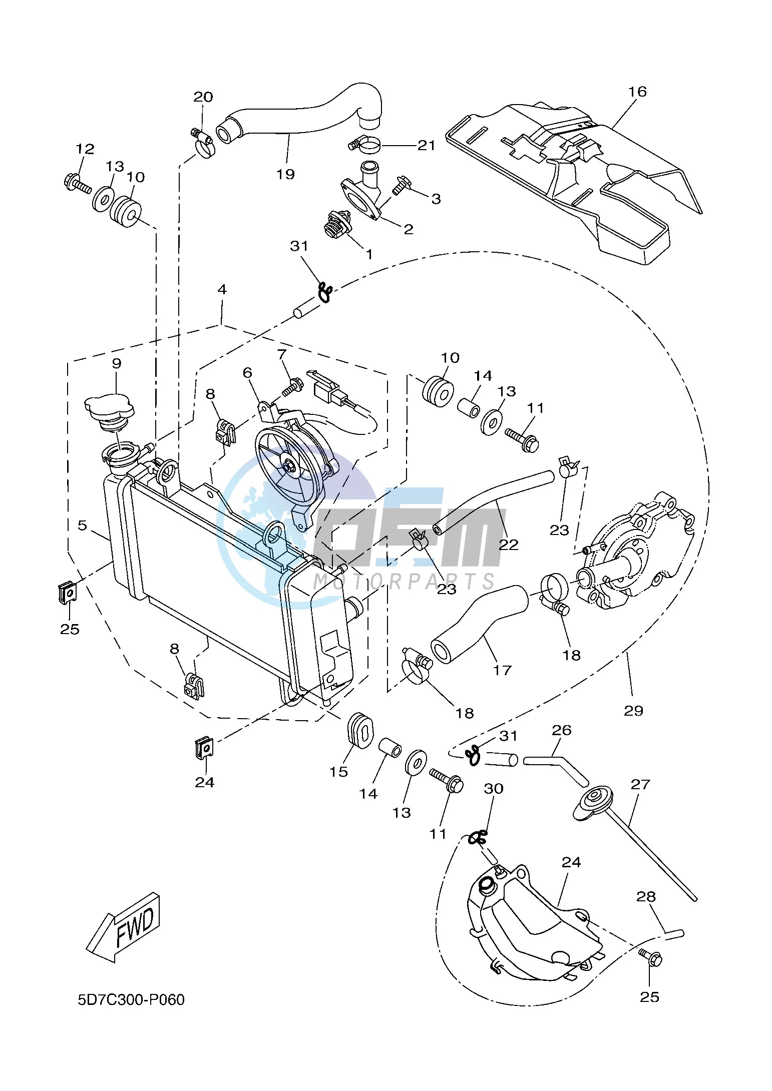 RADIATOR & HOSE