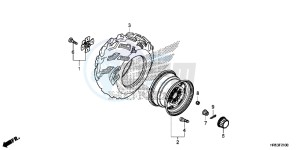 TRX500FM5H Europe Direct - (ED) drawing REAR WHEEL