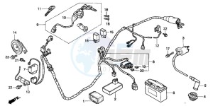 SFX50SMM drawing WIRE HARNESS/ IGNITION COIL/BATTERY