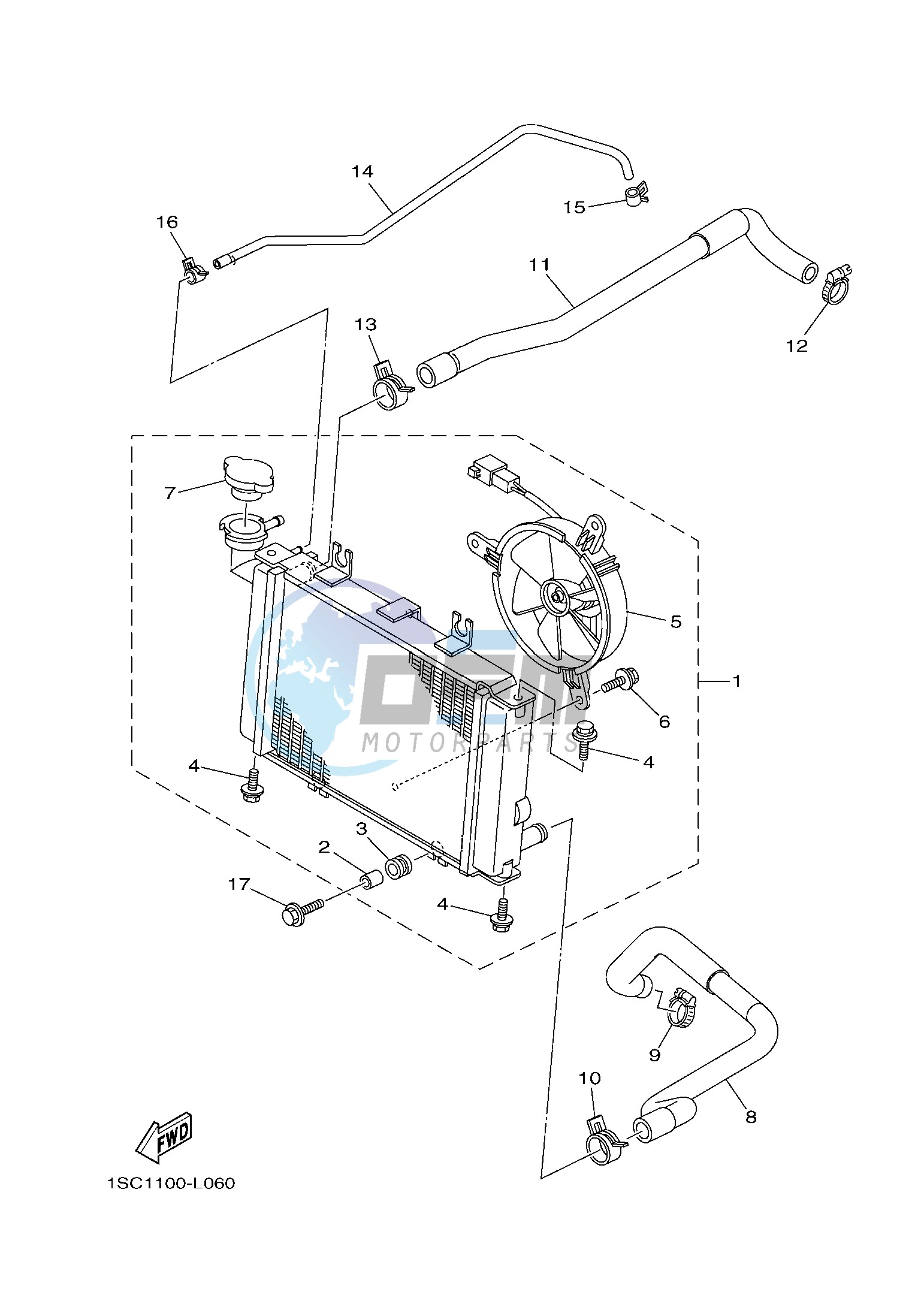 RADIATOR & HOSE