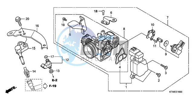 THROTTLE BODY