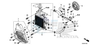 WW125EX2F PCX125 - WW125 UK - (E) drawing RADIATOR