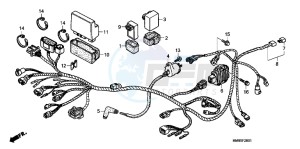 TRX250TEC drawing WIRE HARNESS ( TRX250TE)