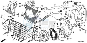 TRX500FA5H TRX500FA ED drawing RADIATOR