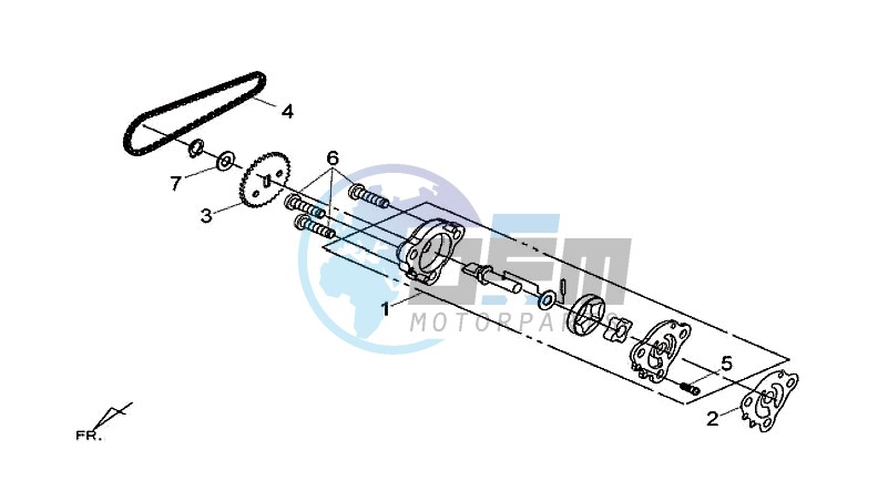 OIL PUMP / DRIVE BELT OIL PUMP