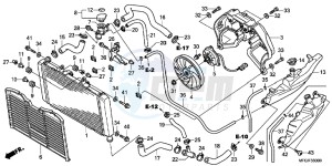 CB600FC drawing RADIATOR