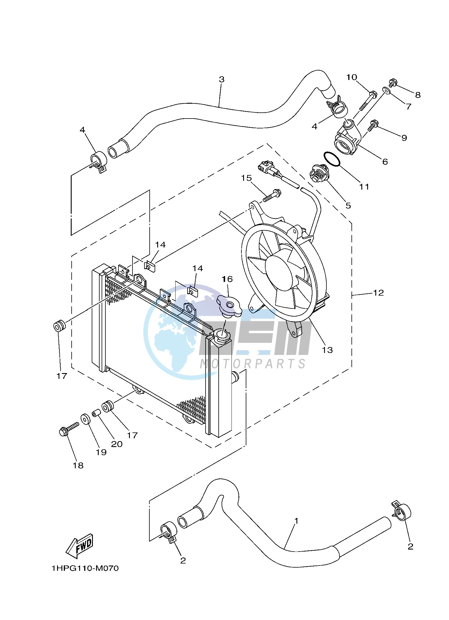 RADIATOR & HOSE