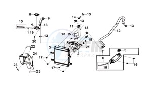 CRUISYM 300 (L8) EU drawing RADIATOR