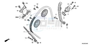 CBF1000FAC drawing CAM CHAIN/TENSIONER