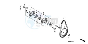 TRX250XA Australia - (U) drawing OIL PUMP