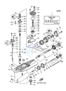 Z300A drawing LOWER-CASING-x-DRIVE-1