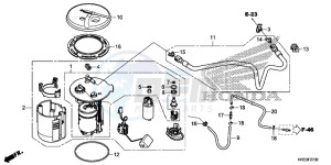 TRX420TE1E TRX420 ED drawing FUEL PUMP