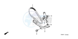 TRX250TM9 Australia - (U) drawing CAM CHAIN/TENSIONER